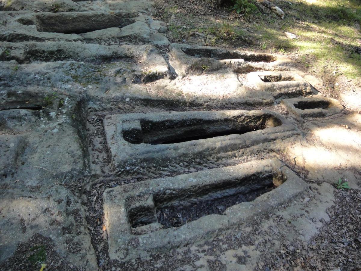 El Mirador De Casa Guarena Konuk evi Villabascones de Sotoscueva Dış mekan fotoğraf
